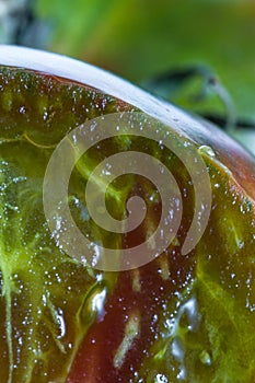 Sliced organic heirloom tomato