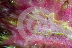 Sliced organic heirloom tomato