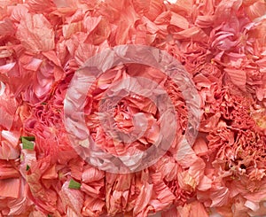 Sliced Pink Hibiscus Bloom Background