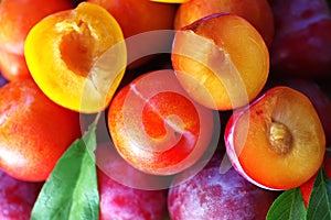 Sliced plums, colorfoul background