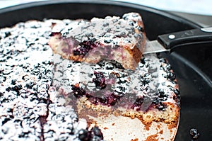 Sliced powdered blackcurrant tart on a round baking tray