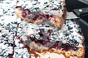 Sliced powdered blackcurrant tart on a round baking tray