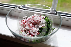 Sliced radishes with leeks in bowl
