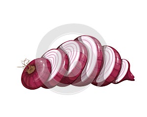 Sliced red onion vegetable