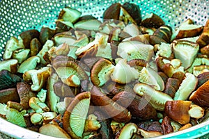 Sliced shiitake mushrooms in an iron basket