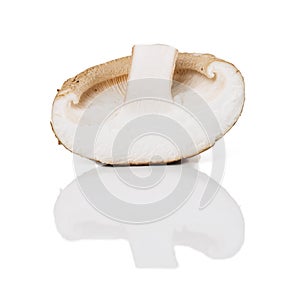 Sliced shiitakes in white background