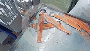 Sliced skins of cartilaginous fish are getting removed from the tray