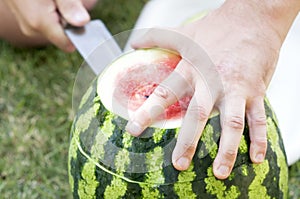 Sliced slices of a ripe watermelon on green grass