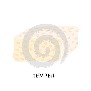 Sliced tempeh piece. Vegan organic fermented soybeans. Soy cheese isolated on white background. Flat vector cartoon