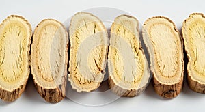 Sliced Tree Trunks on White Background
