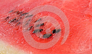 Sliced watermelon texture