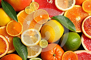 Sliced and whole citrus fruits with leaves as background