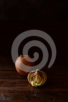 sliced and whole onion on wooden mat, with black background