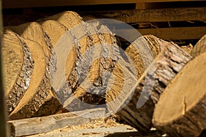 Sliced wooden slices await processing