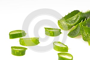 Sliced â€‹â€‹aloe vera and aloe vera leaves isolated on white background