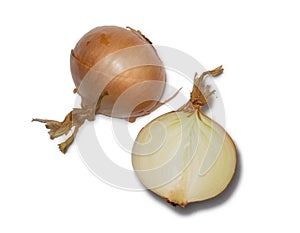 Sliced â€‹â€‹onion on a white background. Root isolate. Spices for the kitchen