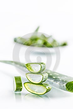 Slices of aloe vera with gel on white background