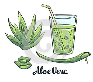 Slices of Aloe Vera in a glass. Healthy cocktail.