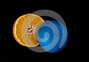 Slices of  blue and orange fresh Citrus orange fruit