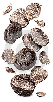 Slices and chops of black winter truffle levitating on white background. The most famous of the trufflez