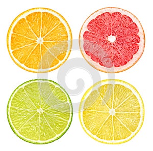 Slices of citrus fruits