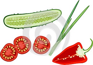 Slices of different vegetables cucumber, sweet pepper, tomato and green onion leaves. Ingredients for vegetable salad