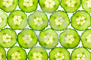 Slices of fresh Cucumber / background / back lit