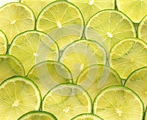 Slices of Green Lemon, citrus aurantifolia