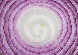 Slices Isolated onion. One red whole onion isolated on white background with clipping path and copy space. Red Onion slices bulbs