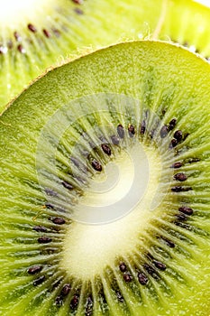 Slices of juicy kiwi