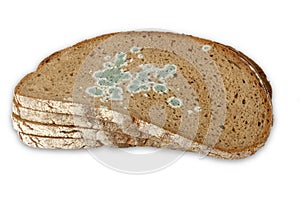 Slices of moldy Bread