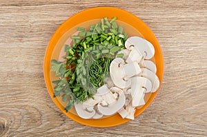 Slices of mushrooms, parsley, dill and green onion in plate