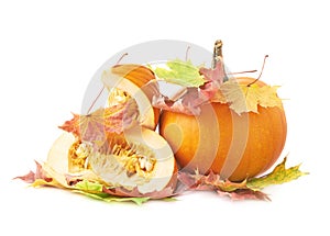 Slices of orange pumpkin in maple leaves