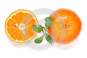 Slices of orange on white background, citrus fruit.