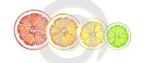 Slices of ripe citrus fruits isolated on white background. Hand drawn watercolor illustration of grapefruit, orange, lemon, lime .