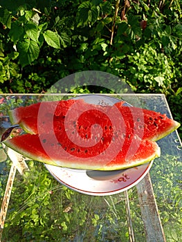 Slices of ripe watermelon on a plate on a glass table in the garden