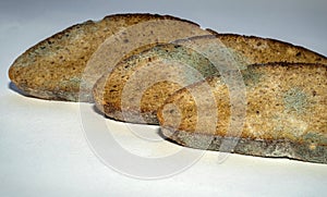 Slices of rye bread covered in mold. Spoiled bread