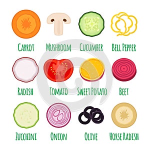 Slices of vegetables in cartoon flat style. Vector illustration