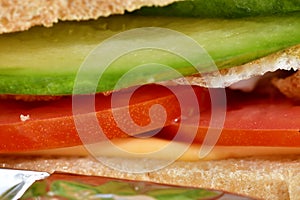 Slices of vegetables in sandwich