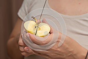 Slicing an Apple with Knife. Cutting a ripe apple in half with a kitchen knife