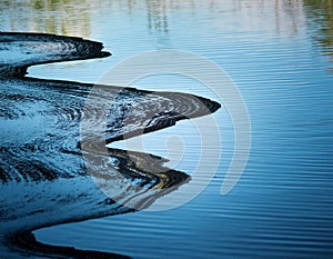 A slick of oil visibly floating on a calm lake, disrupting the natural ecosystem photo
