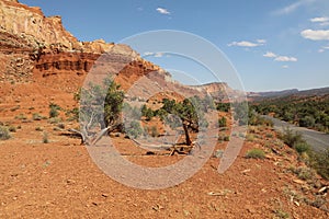 Slick Rock Divide in Capitol Reef National Park. Utah