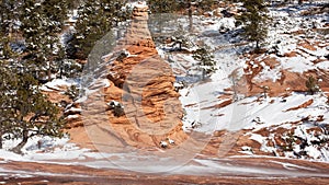 A slickrock hoodoo in Southern Utah is surrounded by windswept snow and pine trees