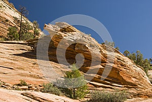 Slickrock landscape