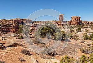 Slickrock Trail in Canyonlands National Park