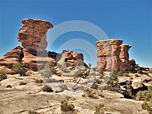 Slickrock Trail in Canyonlands National Park