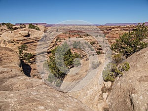 Slickrock Trail in Canyonlands National Park