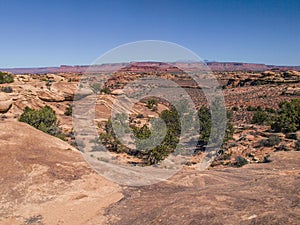 Slickrock Trail in Canyonlands National Park