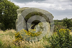 Slidderyford dolmen an Irish megalithic structure