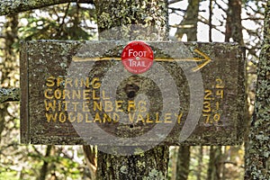 Slide Mountain Trail Marker